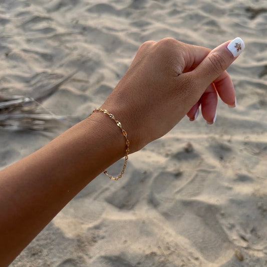 Seashell Line