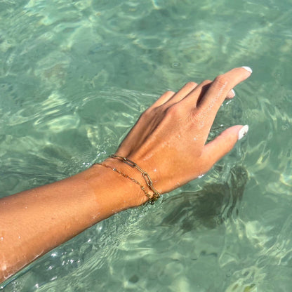 Seashell Line